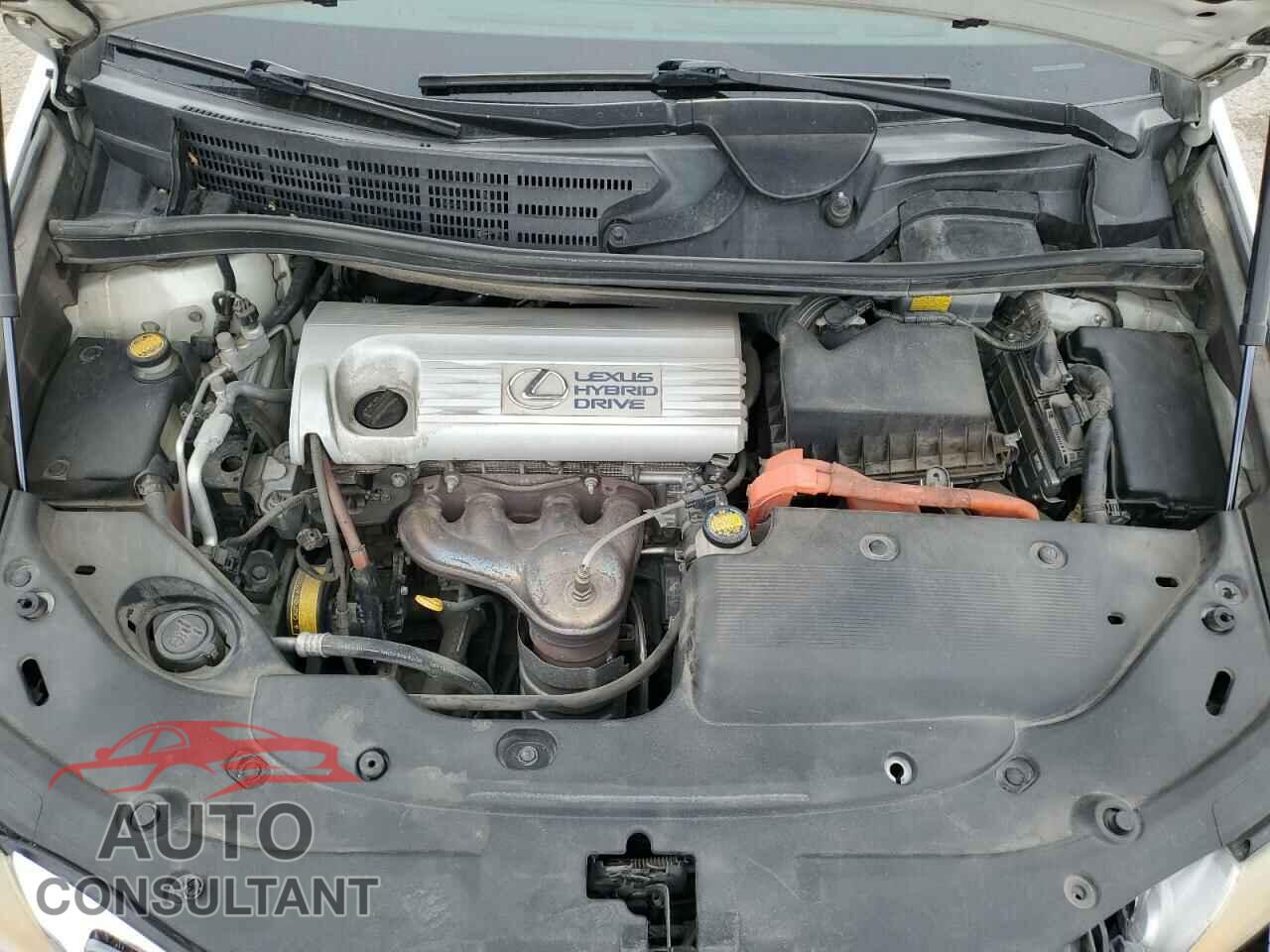 LEXUS HS 2010 - JTHBB1BA0A2024835