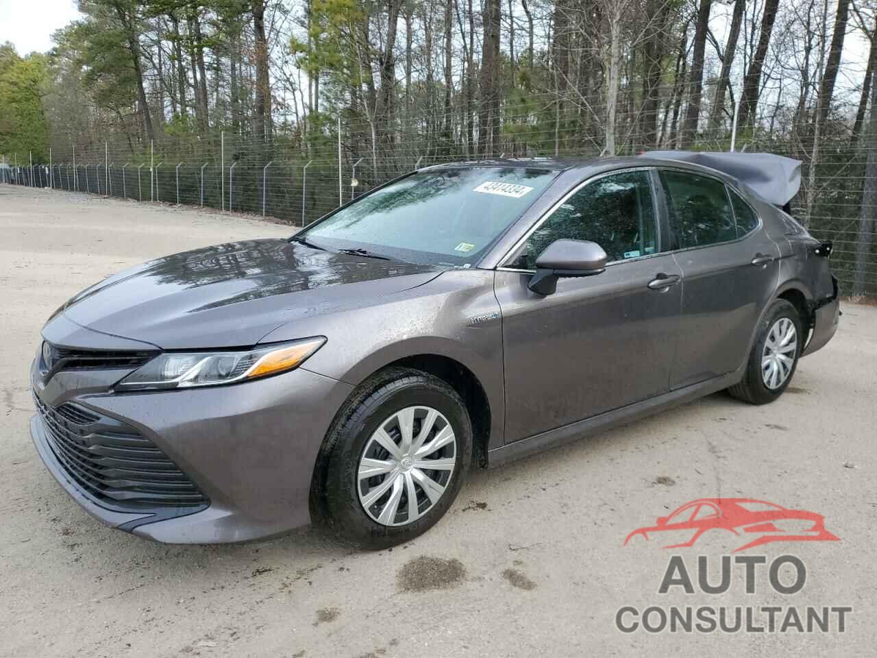 TOYOTA CAMRY 2019 - 4T1B31HKXKU515963