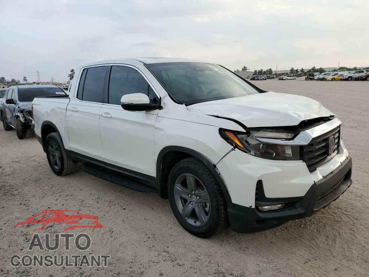 HONDA RIDGELINE 2023 - 5FPYK3F56PB010312
