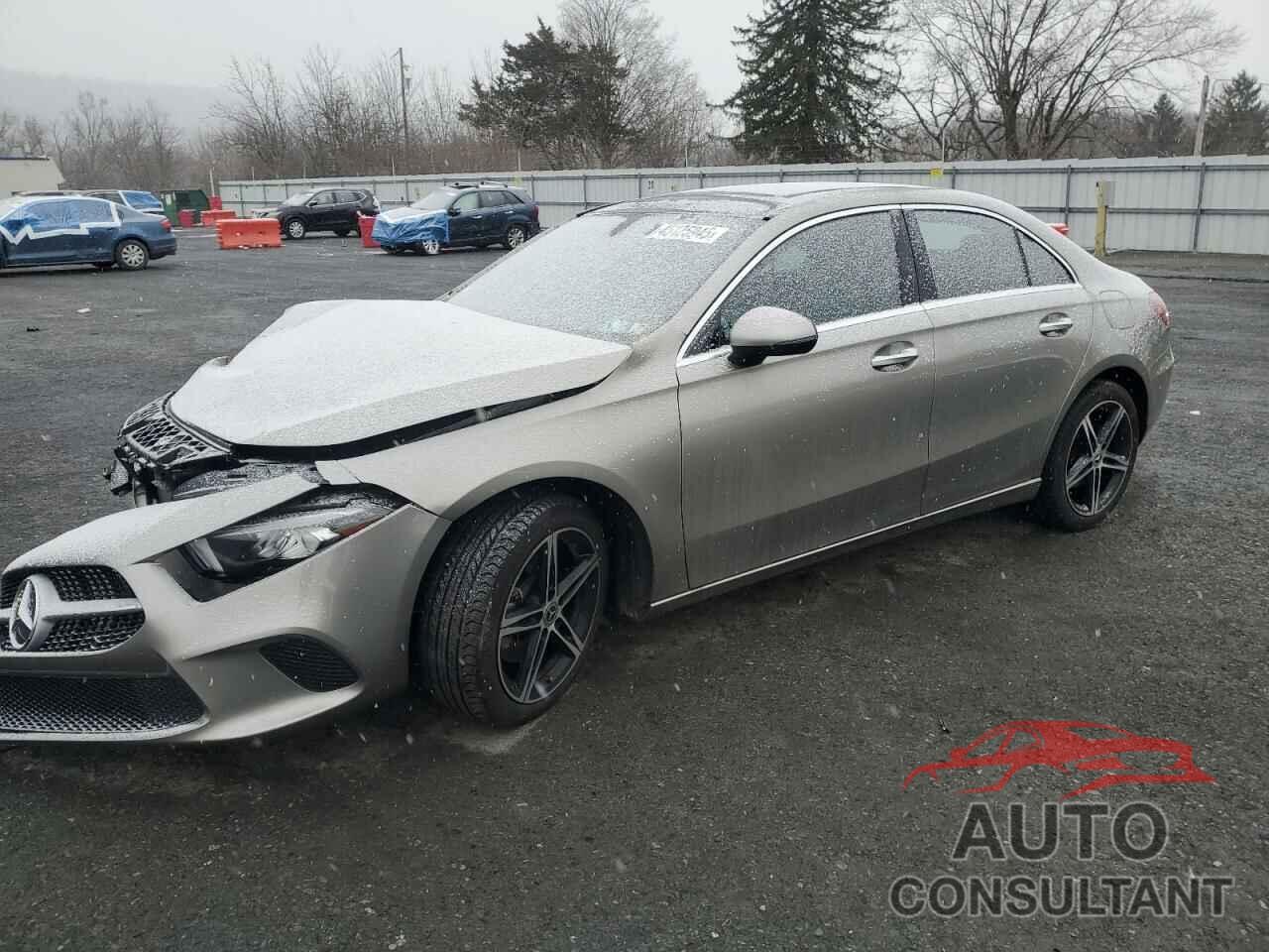 MERCEDES-BENZ A-CLASS 2019 - WDD3G4FB0KW035183