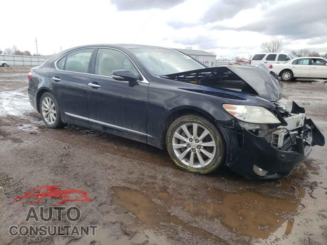 LEXUS LS460 2011 - JTHCL5EFXB5010117
