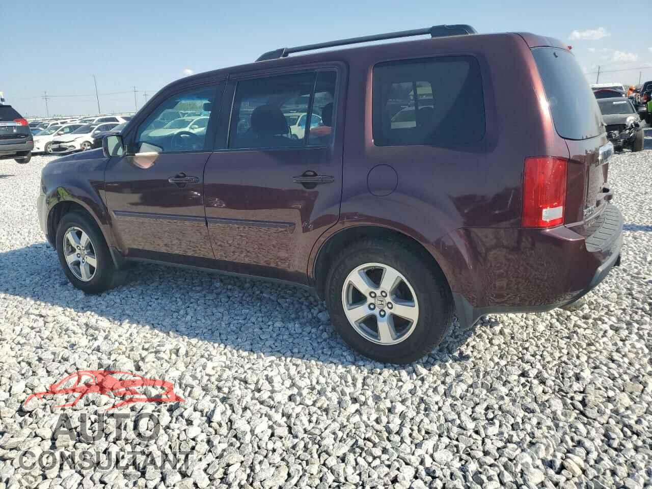 HONDA PILOT 2009 - 5FNYF48619B016501