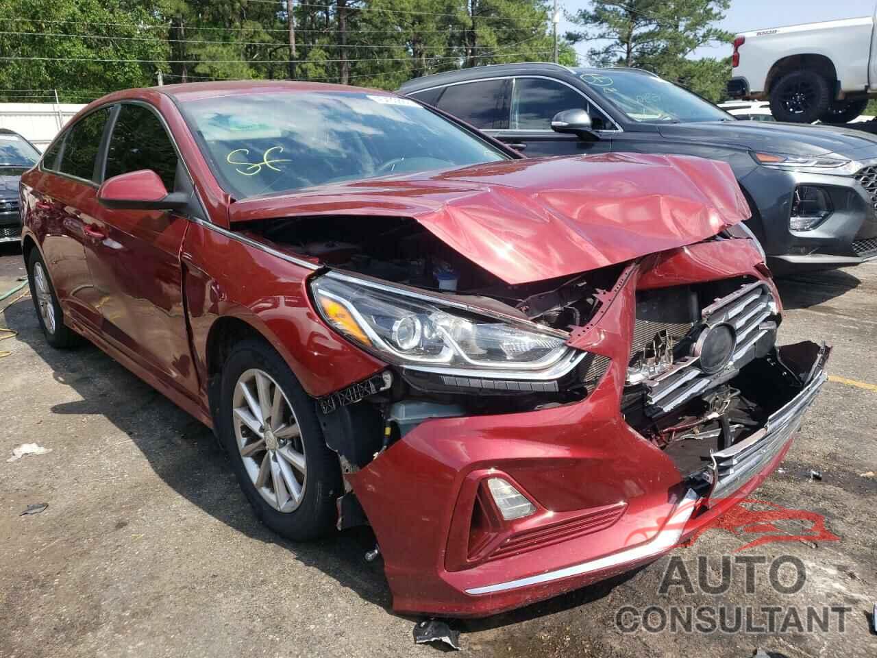 HYUNDAI SONATA 2019 - 5NPE24AF6KH736666