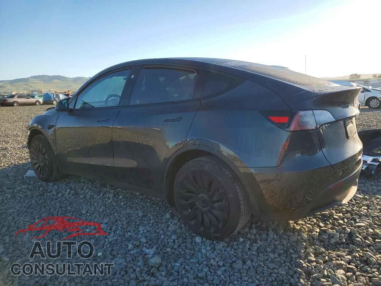 TESLA MODEL Y 2024 - 7SAYGDEE7RF013565