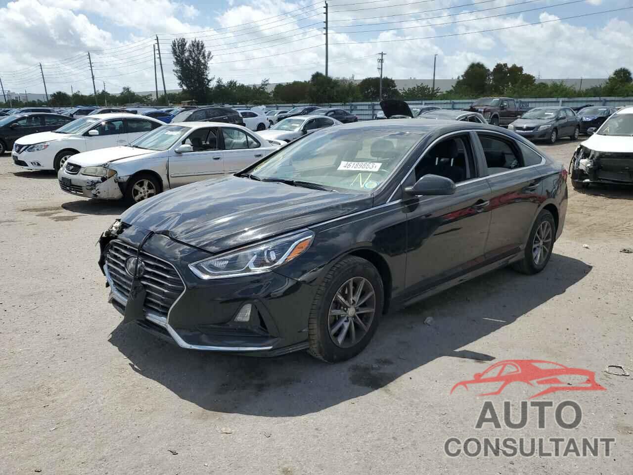 HYUNDAI SONATA 2019 - 5NPE24AF2KH781300