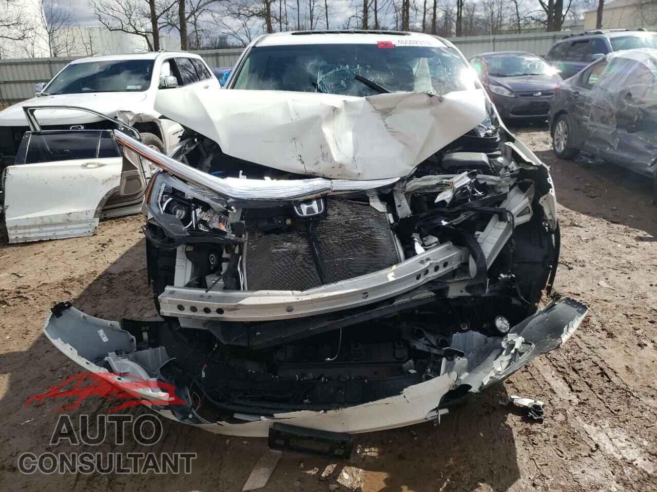 HONDA PILOT 2019 - 5FNYF6H52KB036300