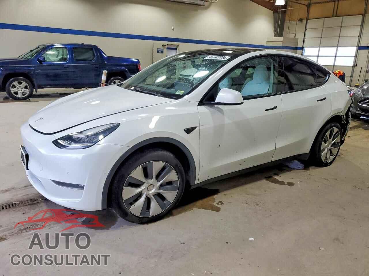 TESLA MODEL Y 2020 - 5YJYGDEE5LF036251