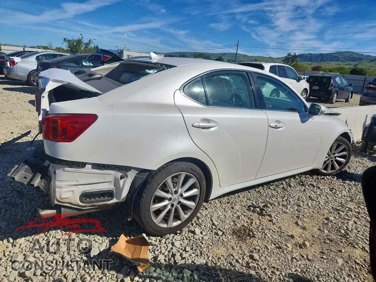 LEXUS IS 2009 - JTHBK262195102588