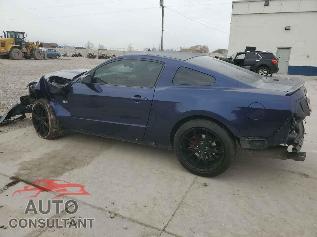 FORD MUSTANG 2011 - 1ZVBP8CF6B5128751