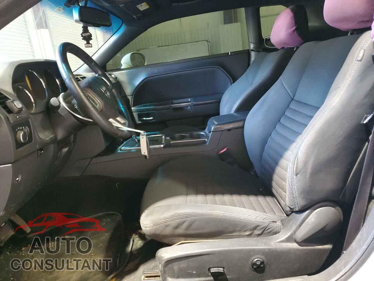 DODGE CHALLENGER 2013 - 2C3CDYAGXDH695654