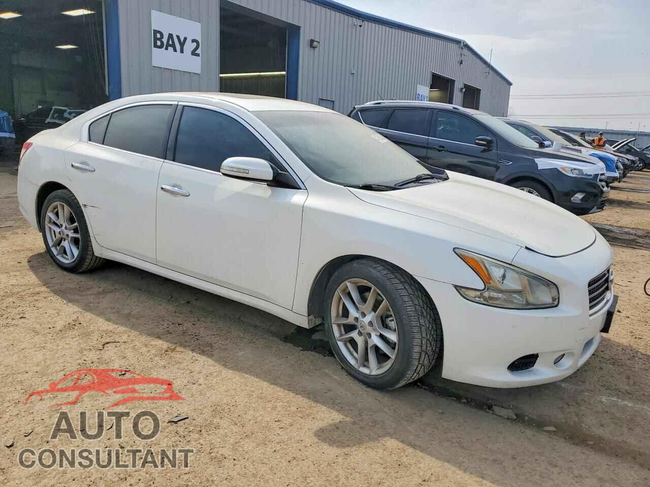 NISSAN MAXIMA 2011 - 1N4AA5AP6BC863273