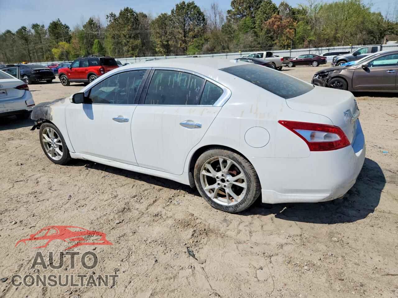 NISSAN MAXIMA 2009 - 1N4AA51E79C856101