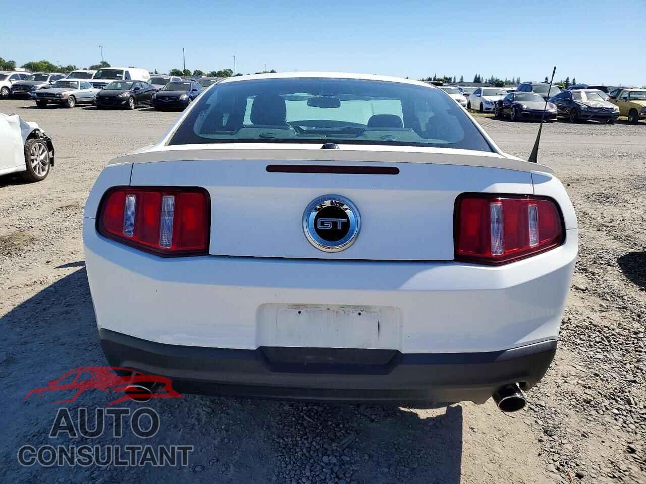 FORD MUSTANG 2010 - 1ZVBP8CH8A5138908