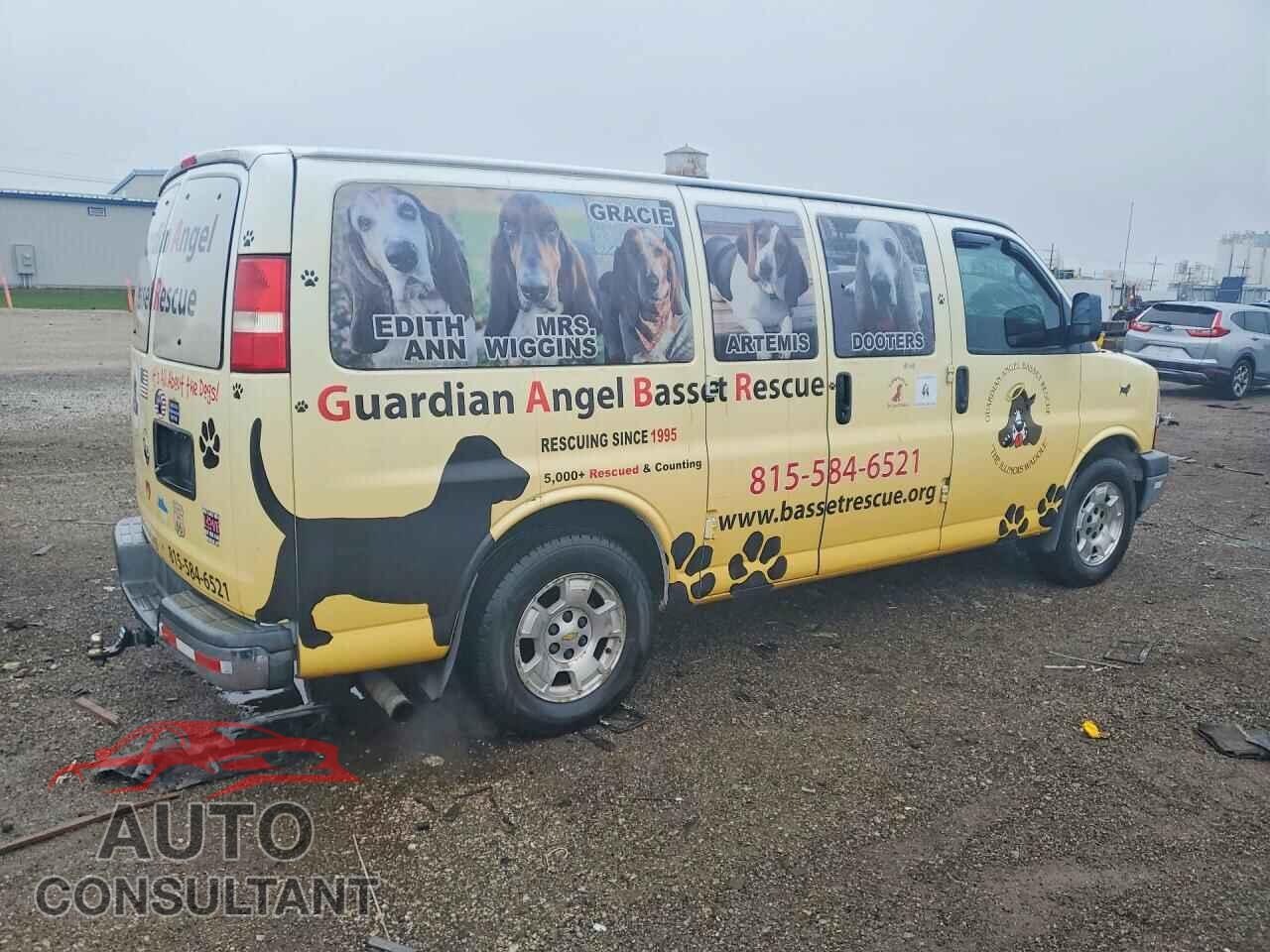 CHEVROLET EXPRESS 2013 - 1GNSGCF49D1160580