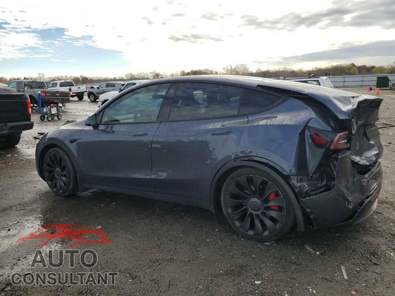 TESLA MODEL Y 2022 - 7SAYGDEF9NF521605