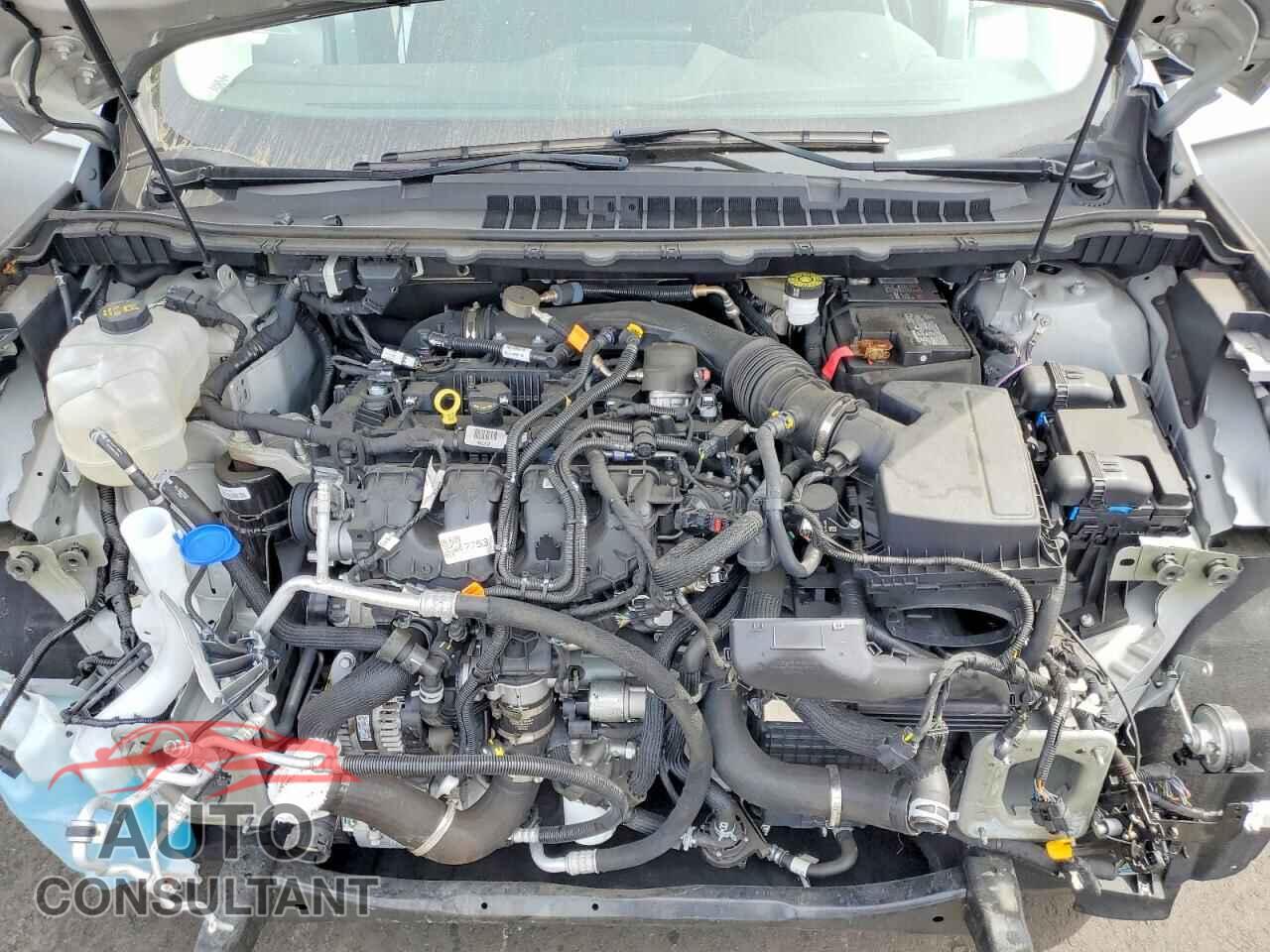 FORD EDGE 2024 - 2FMPK4G90RBB05021