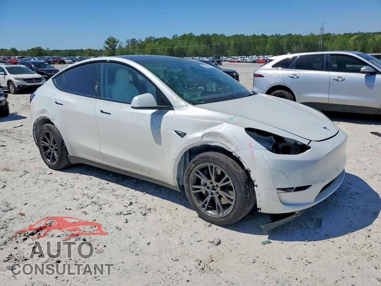 TESLA MODEL Y 2024 - 7SAYGAEE4RF155306