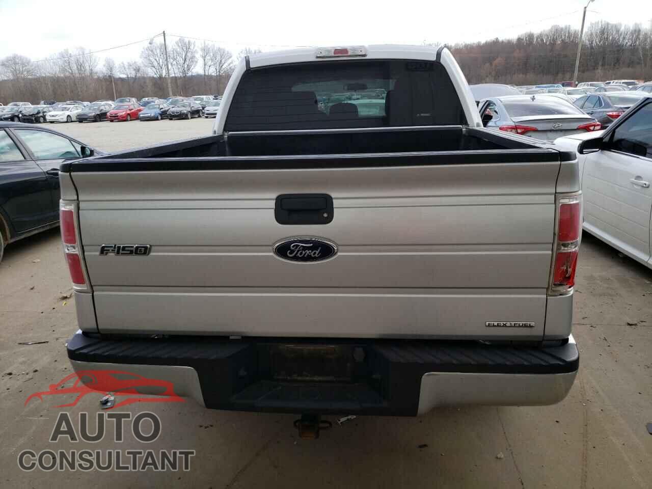 FORD F-150 2013 - 1FTEW1CM1DFD61569