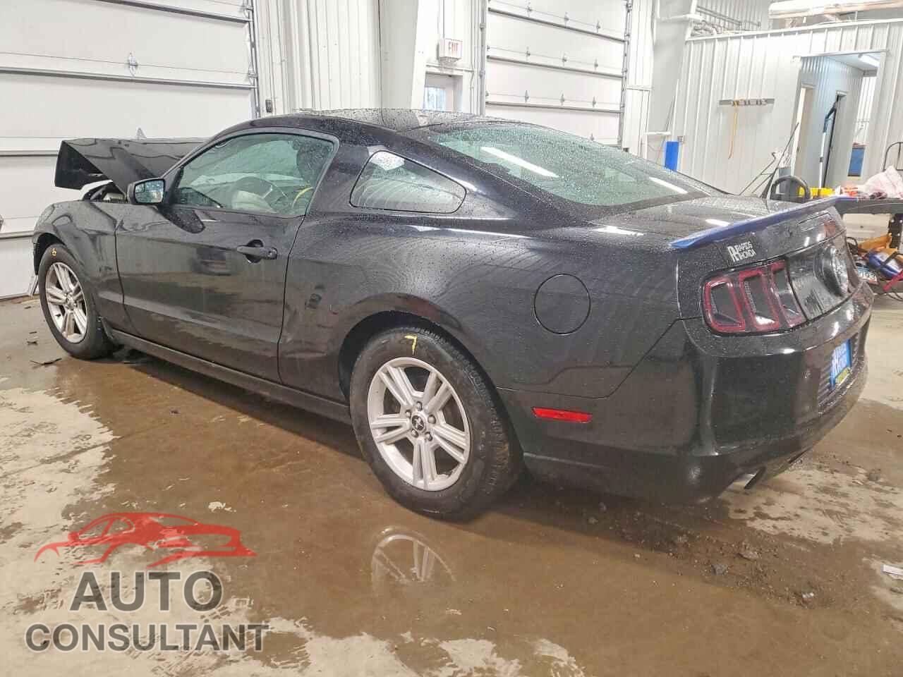 FORD MUSTANG 2014 - 1ZVBP8AM3E5294702