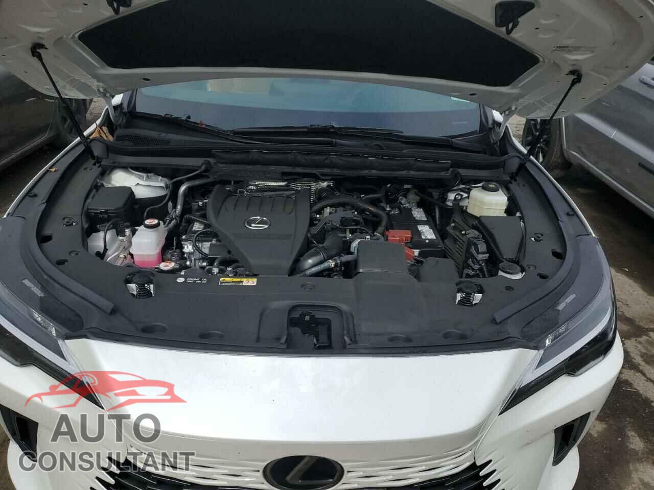 LEXUS RX350 2023 - 2T2BAMCA2PC030260