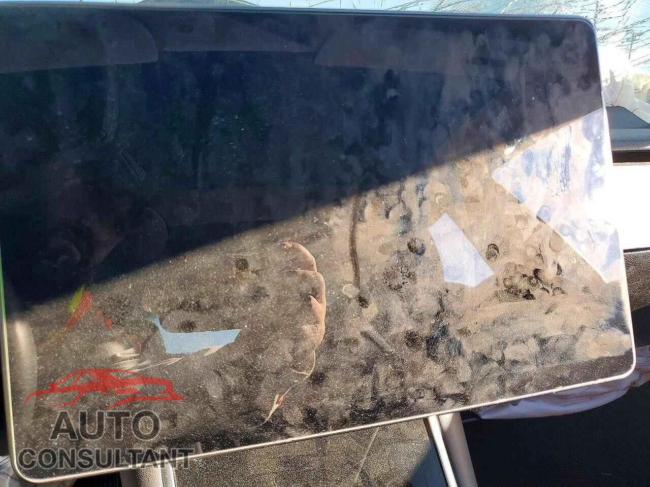 TESLA MODEL 3 2019 - 5YJ3E1EA1KF193284