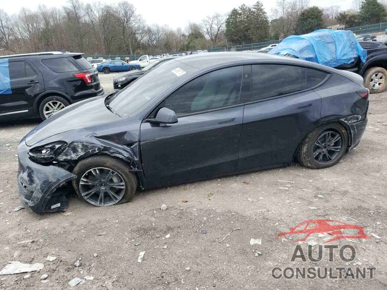 TESLA MODEL Y 2025 - 7SAYGAEE8SF312499