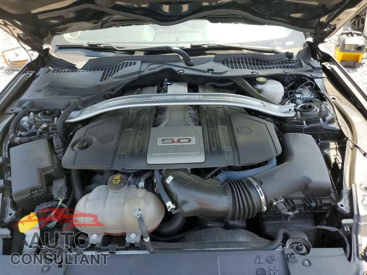 FORD MUSTANG 2019 - 1FA6P8CF2K5184499