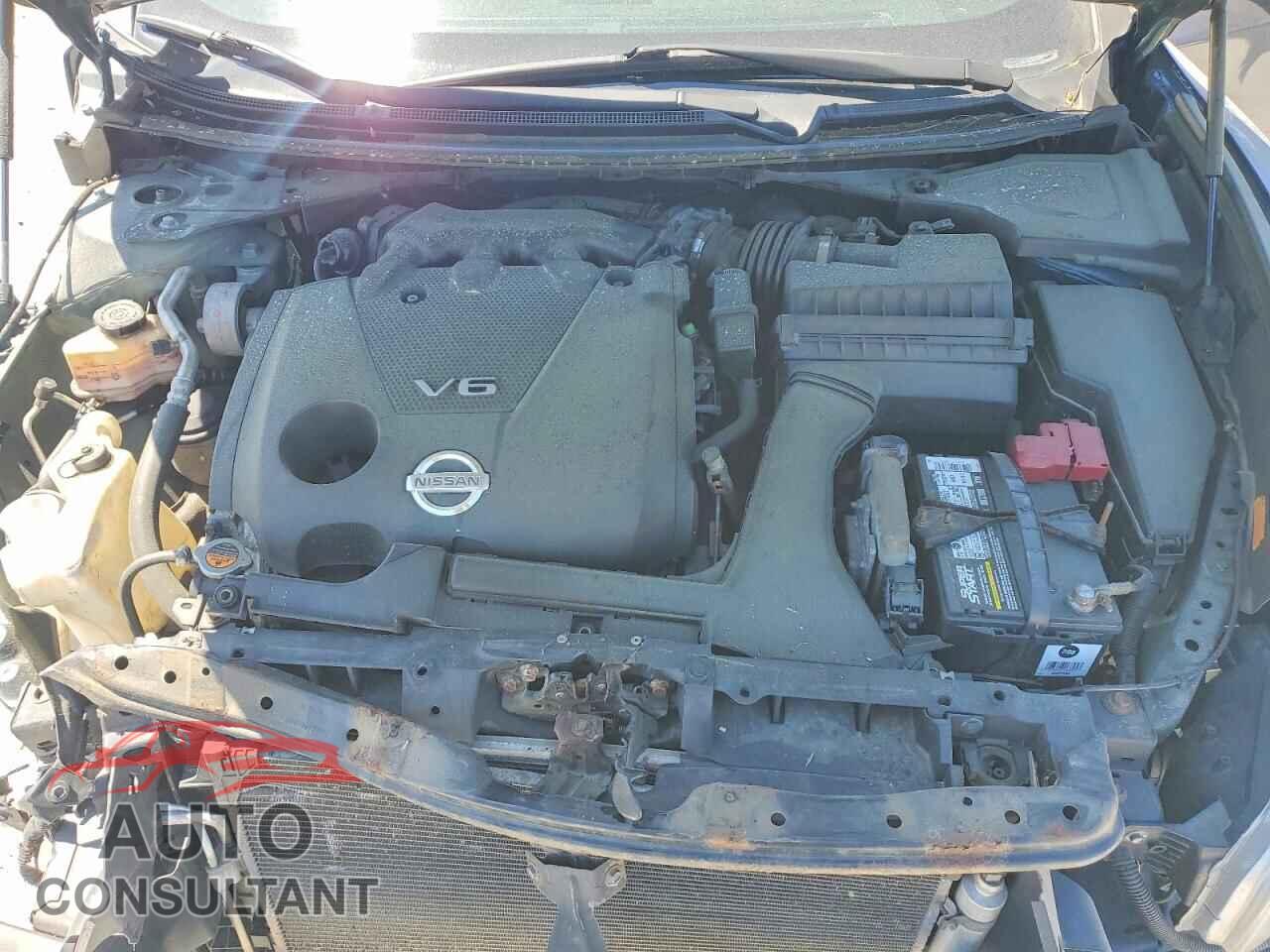 NISSAN MAXIMA 2009 - 1N4AA51E09C856344