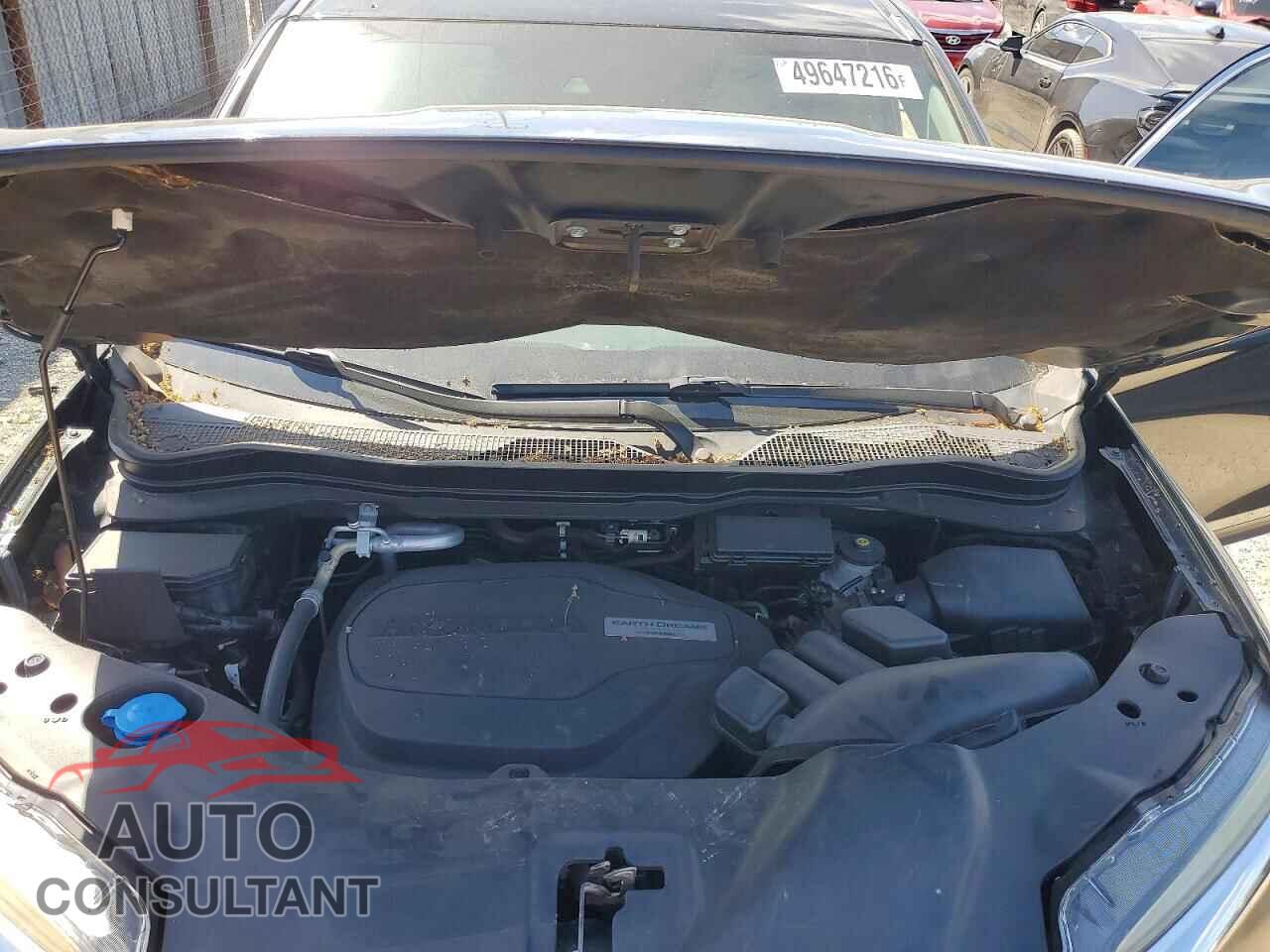 HONDA PILOT 2019 - 5FNYF5H55KB003219