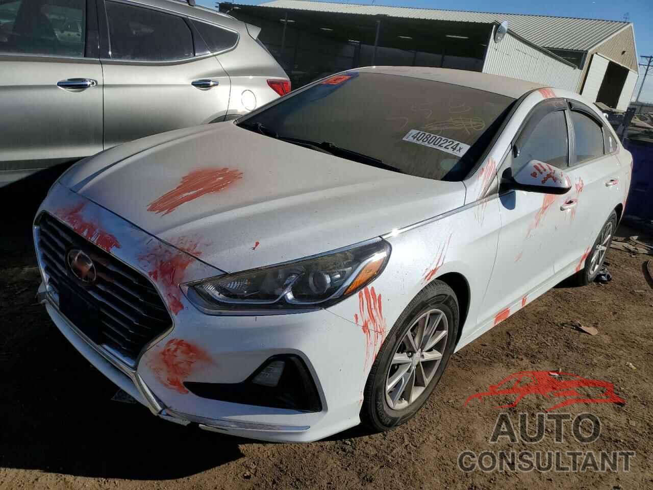 HYUNDAI SONATA 2018 - 5NPE24AF0JH695255