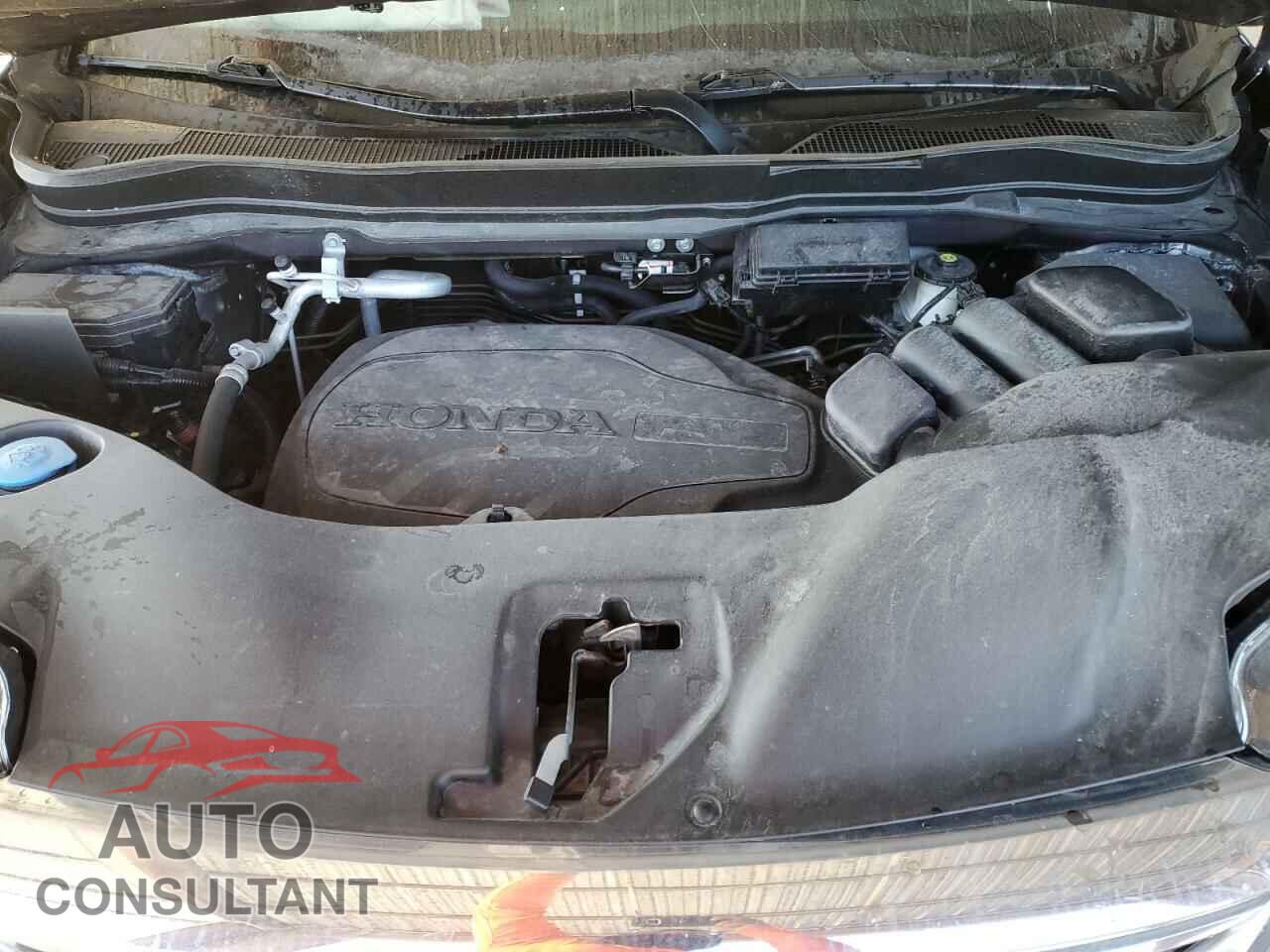 HONDA PILOT 2022 - 5FNYF5H58NB012811