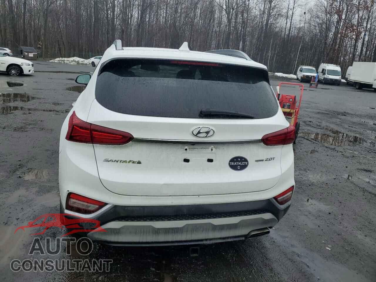 HYUNDAI SANTA FE 2019 - 5NMS5CAAXKH110754