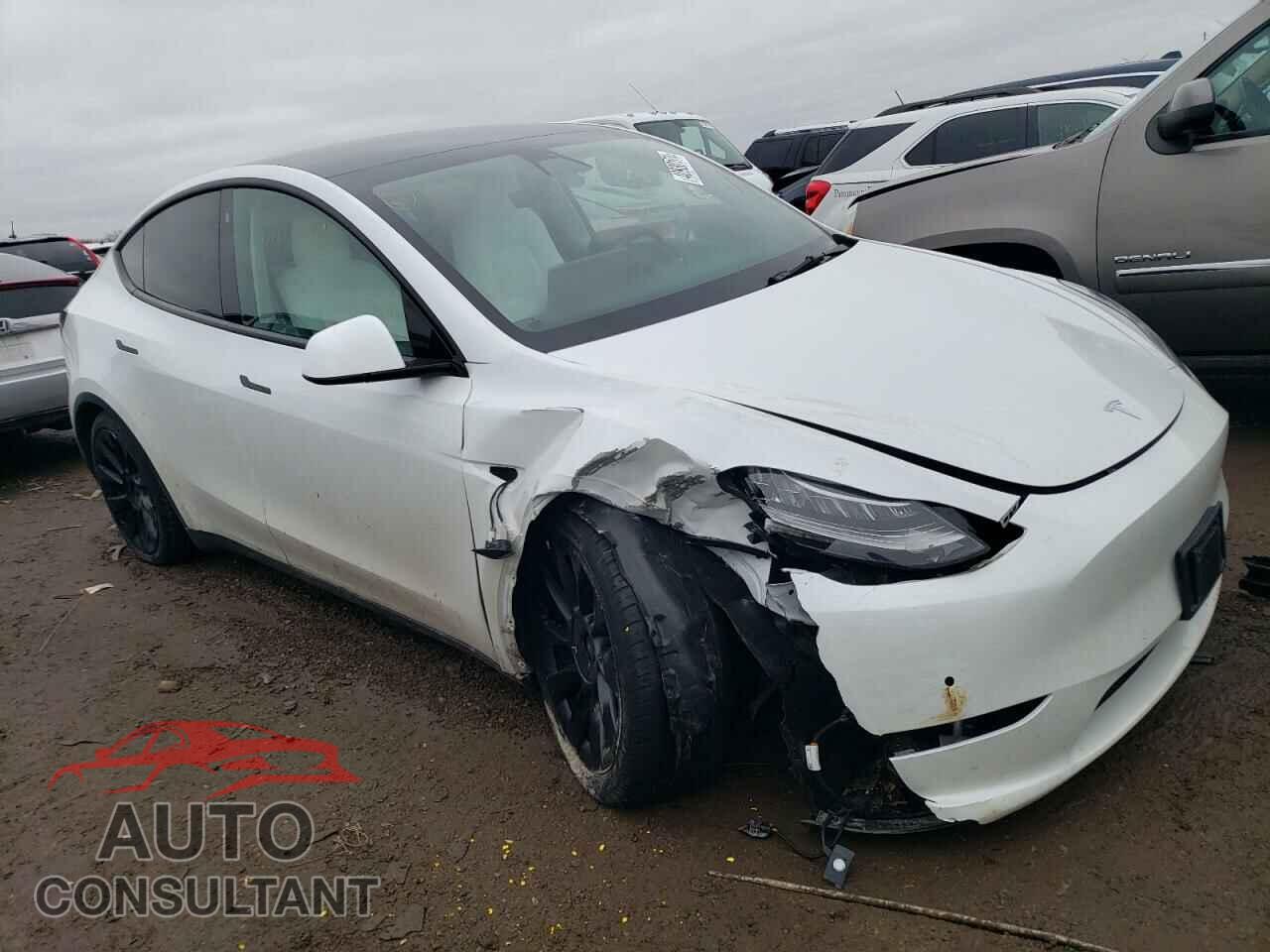 TESLA MODEL Y 2021 - 5YJYGDEE5MF182490