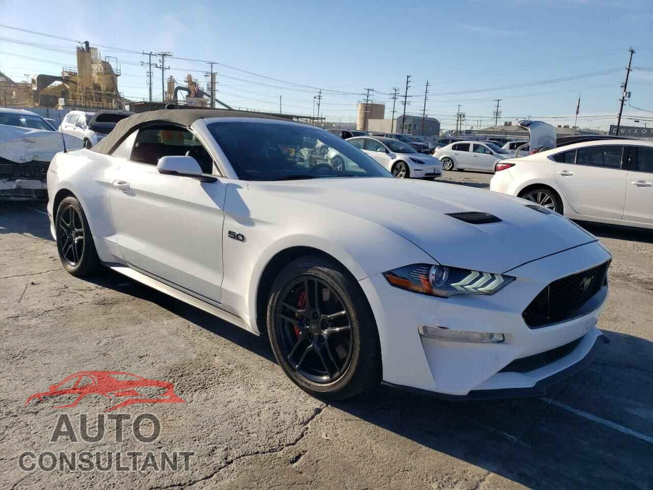 FORD MUSTANG 2019 - 1FATP8FF5K5151804