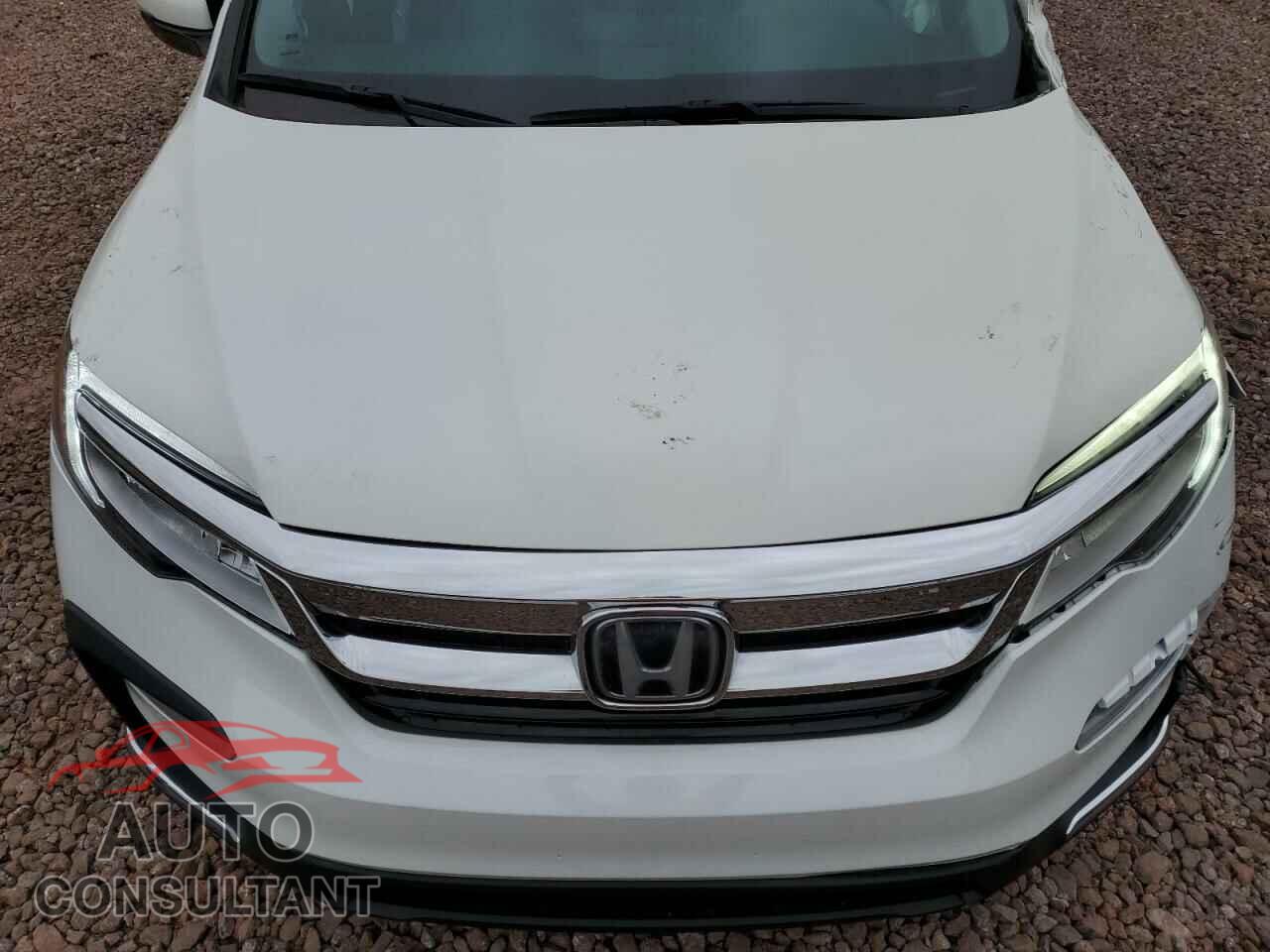 HONDA PILOT 2019 - 5FNYF5H64KB029478