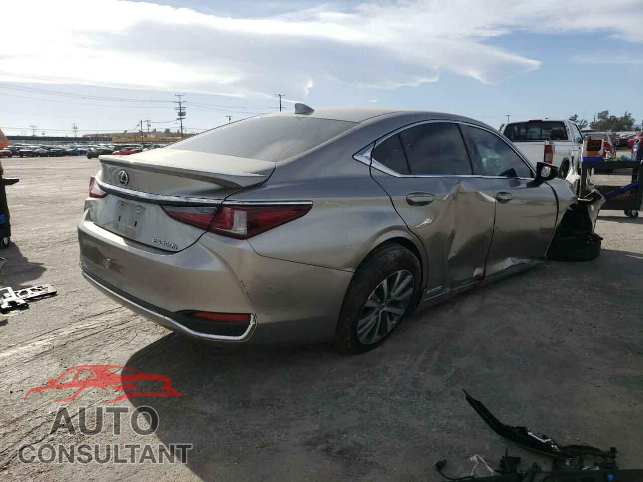 LEXUS ES300 2020 - 58AC21B12LU008718