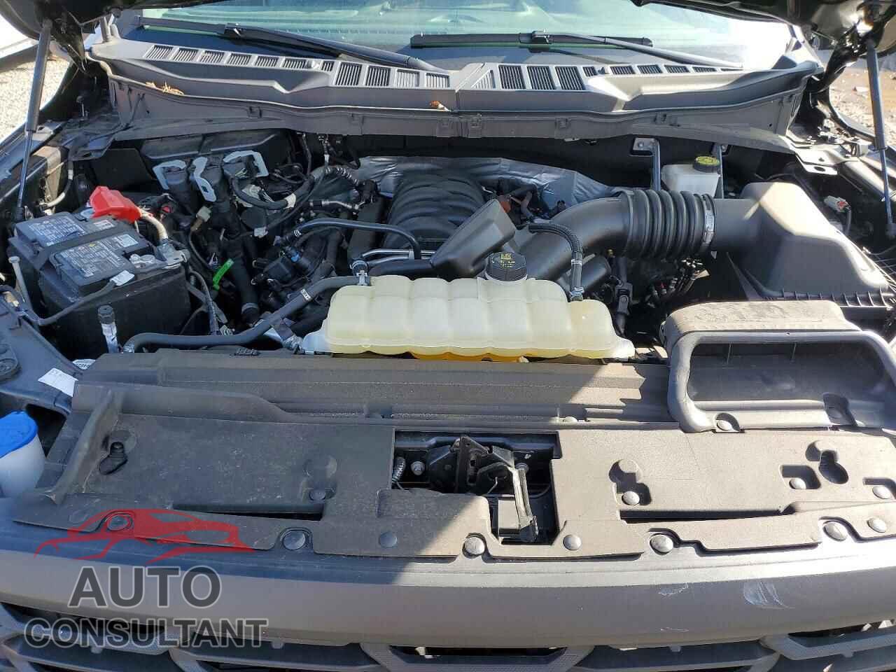 FORD All Models 2024 - 1FTFX1L53RKE05824
