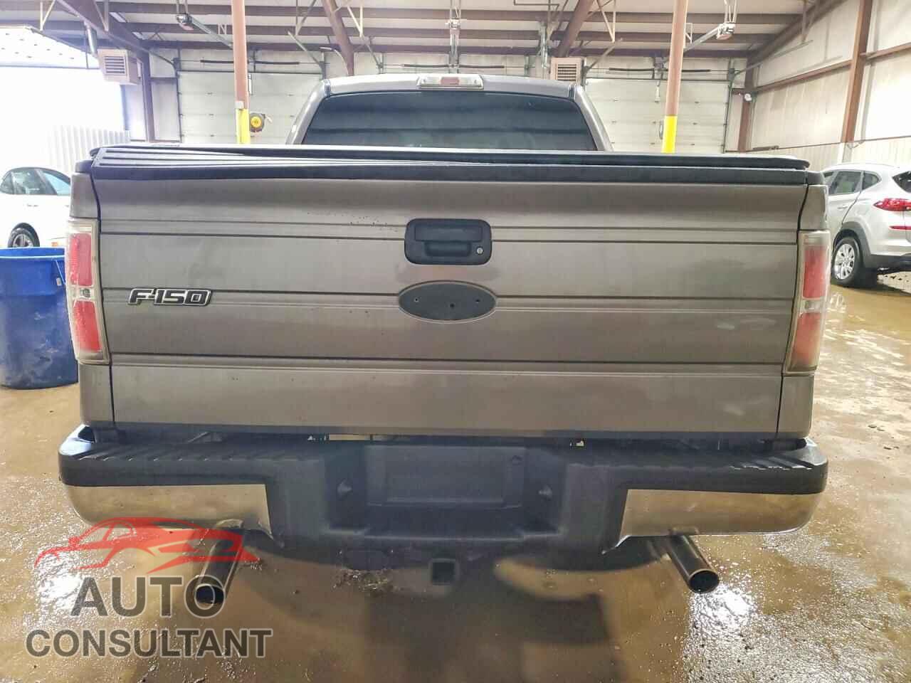 FORD F150 2010 - 1FTEW1CW4AFB55725