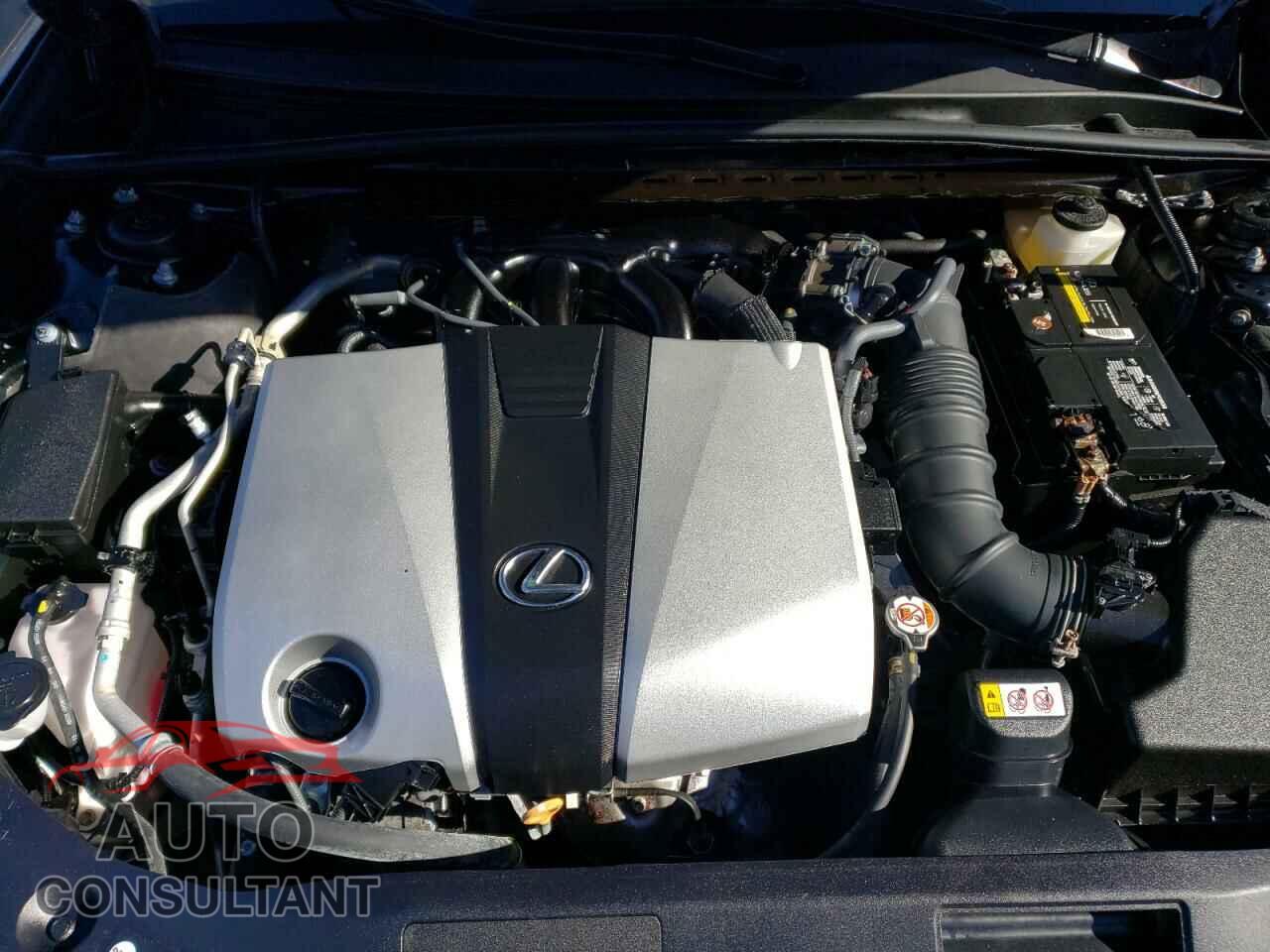 LEXUS ES350 2020 - 58ADZ1B16LU064161