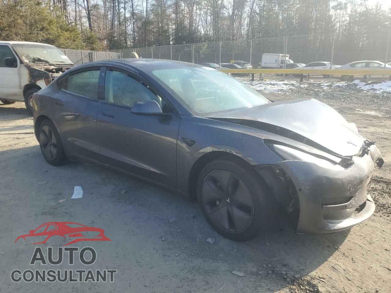 TESLA MODEL 3 2021 - 5YJ3E1EB3MF979714