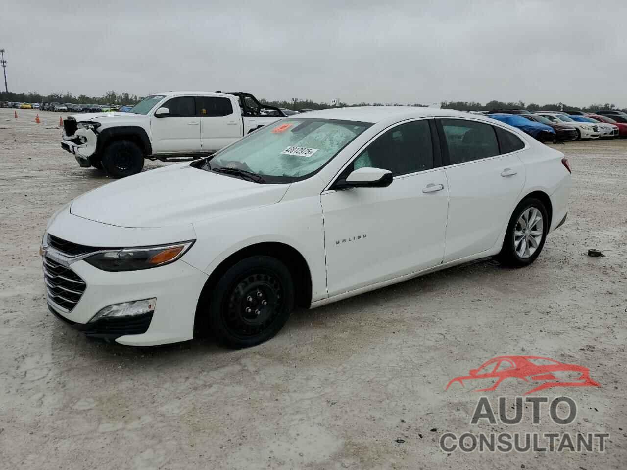 CHEVROLET MALIBU 2019 - 1G1ZD5ST1KF116834