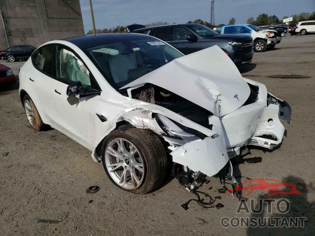 TESLA MODEL Y 2021 - 5YJYGDEE0MF203147
