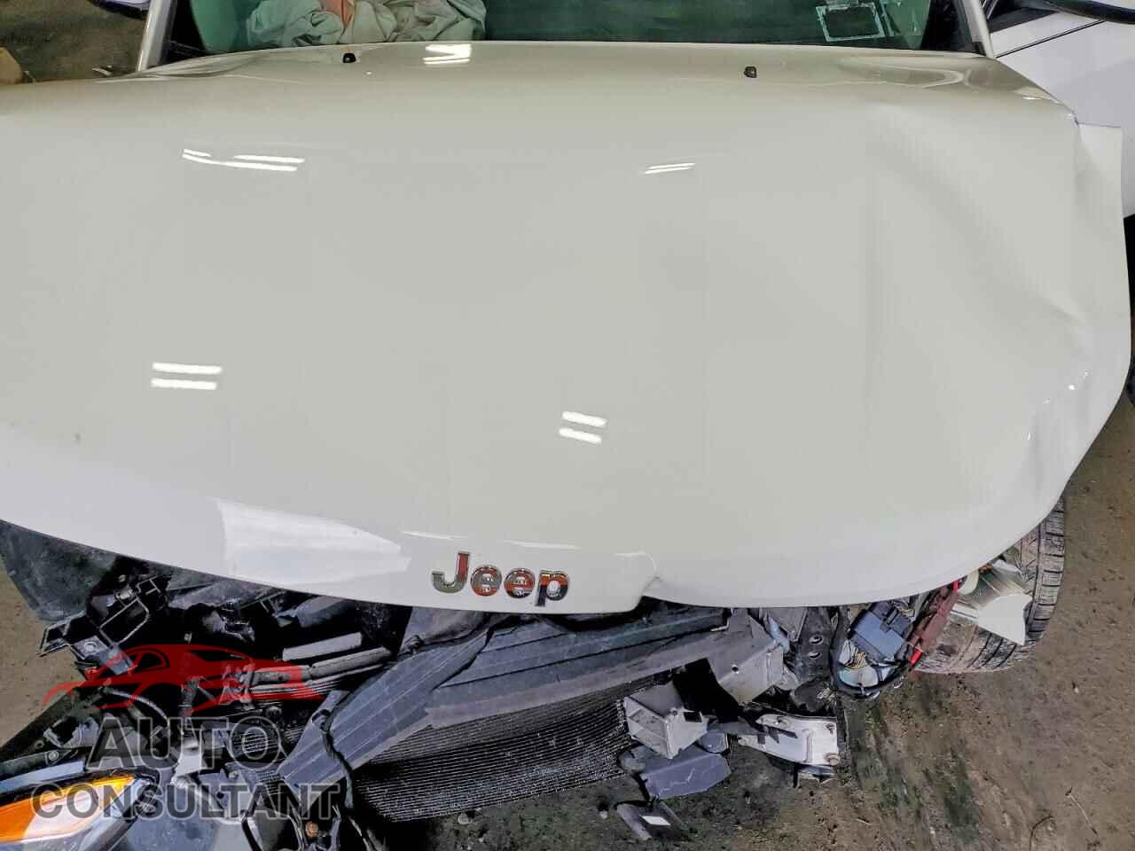 JEEP COMPASS 2019 - 3C4NJDBB2KT593455