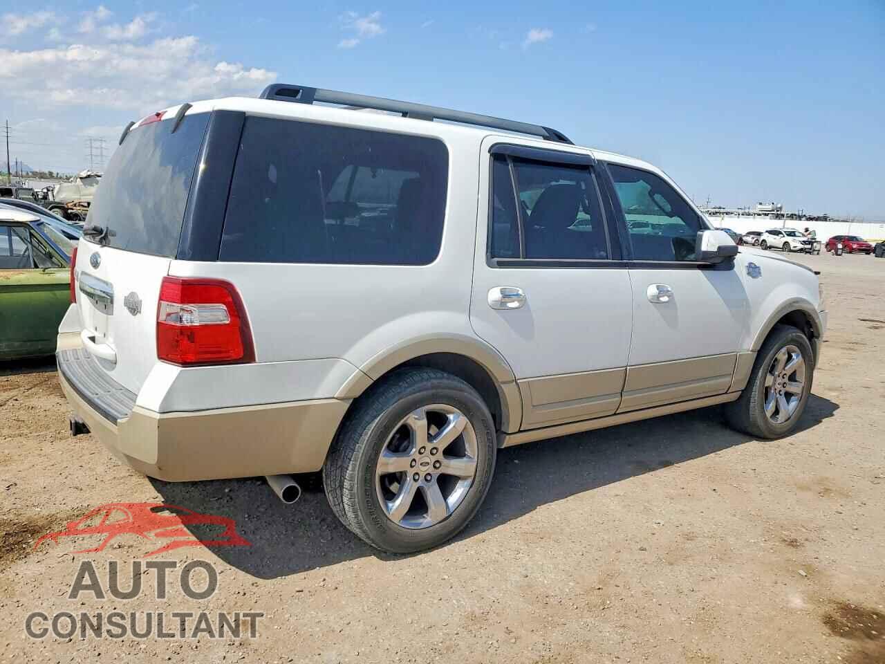 FORD EXPEDITION 2009 - 1FMFU17519EA99655