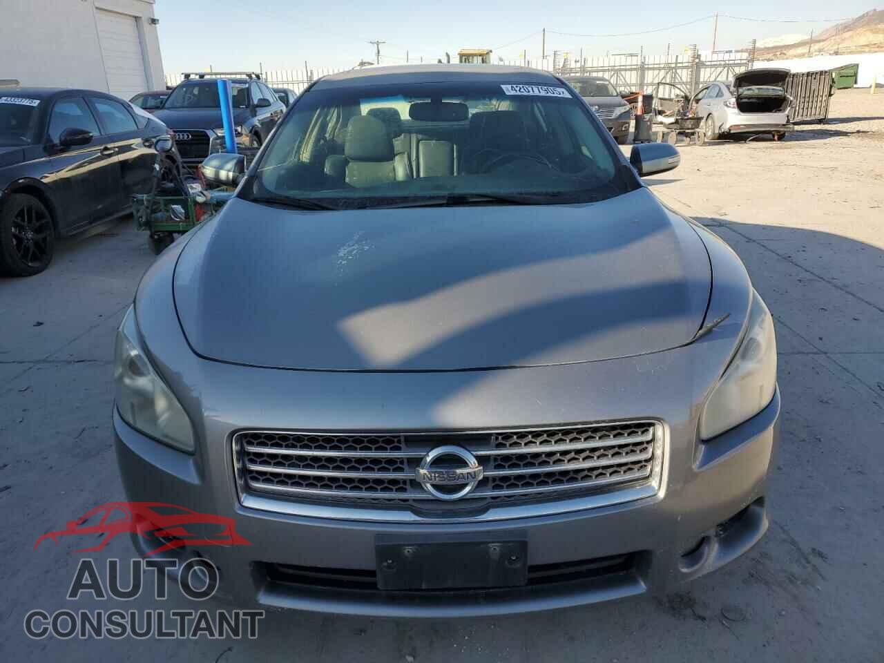 NISSAN MAXIMA 2009 - 1N4AA51E19C856630