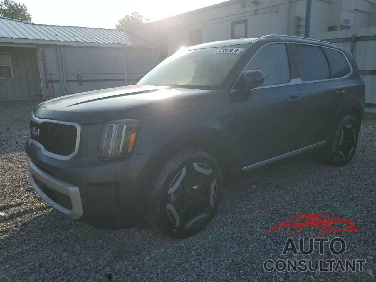 KIA TELLURIDE 2024 - 5XYP34GC0RG417574