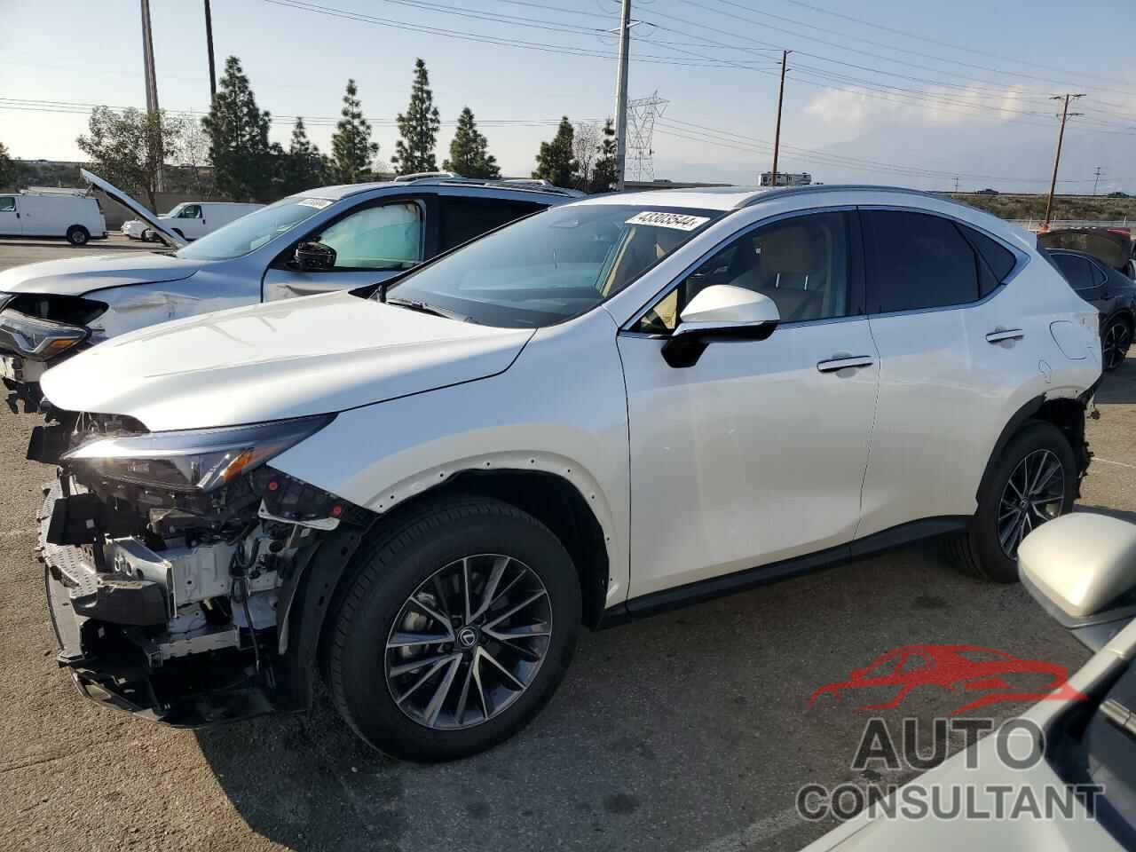 LEXUS NX 250 BAS 2024 - 2T2ADCAZ5RC009895