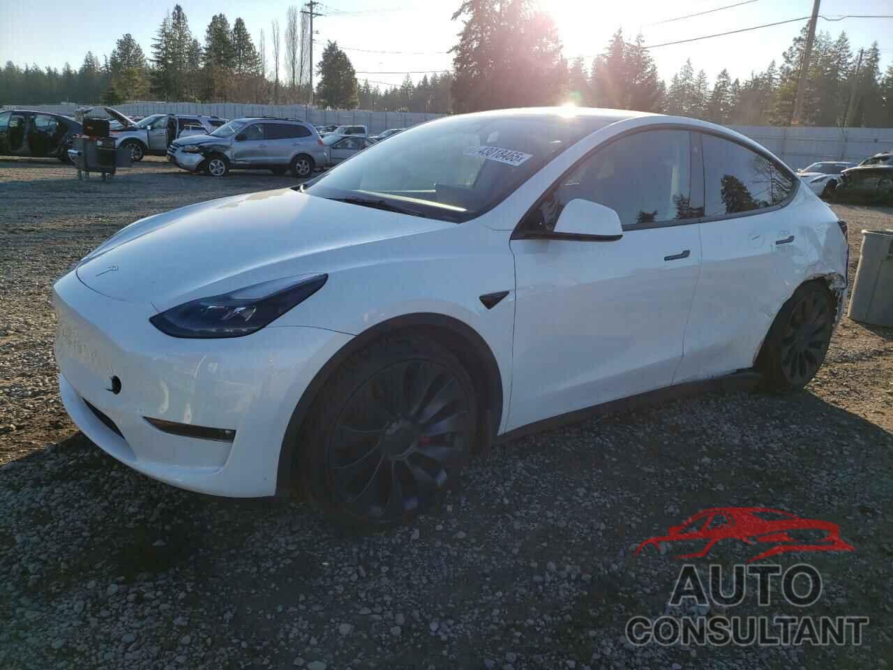 TESLA MODEL Y 2023 - 7SAYGDEF5PF711548