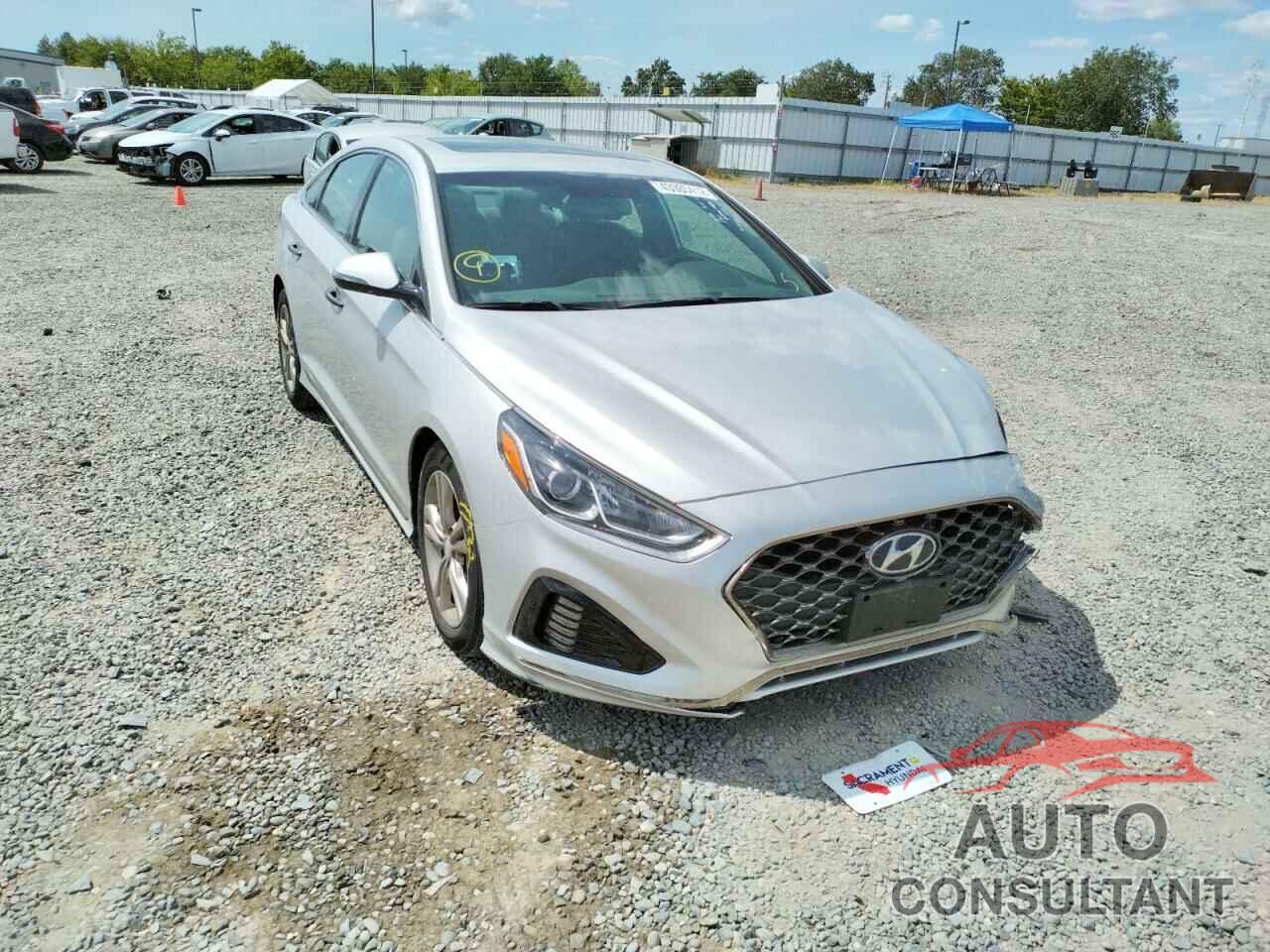 HYUNDAI SONATA 2018 - 5NPE34AF8JH703017