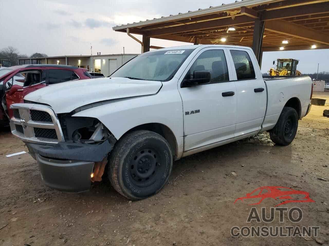 DODGE All Models 2010 - 1D7RB1GP3AS172254